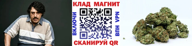 Наркота Шахты СК  Гашиш  Псилоцибиновые грибы  МАРИХУАНА 