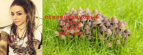 ГАЛЛЮЦИНОГЕННЫЕ ГРИБЫ Алзамай