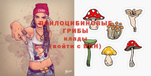 ГАЛЛЮЦИНОГЕННЫЕ ГРИБЫ Алзамай