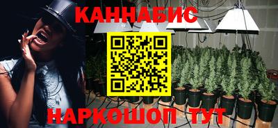 PSILOCYBIN Обнинск
