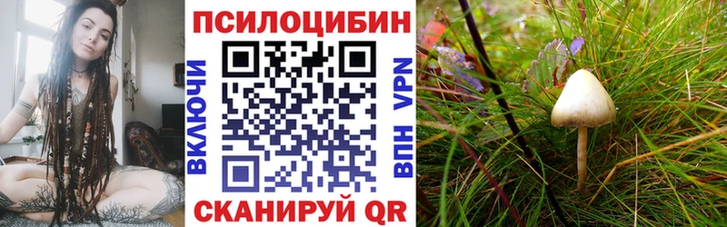 Псилоцибиновые грибы мицелий даркнет официальный сайт Шахты