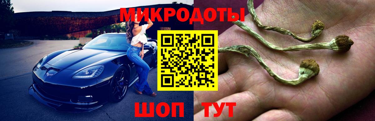 Галлюциногенные грибы MAGIC MUSHROOMS Шахты