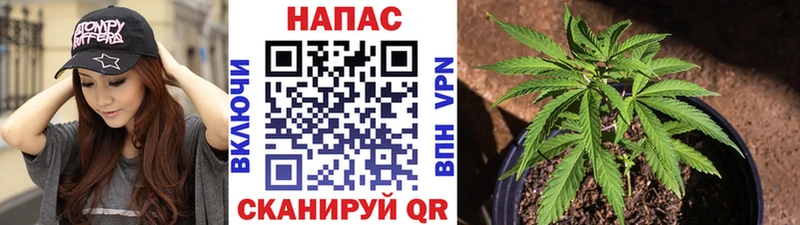 darknet формула  Шахты  Каннабис ГИДРОПОН 